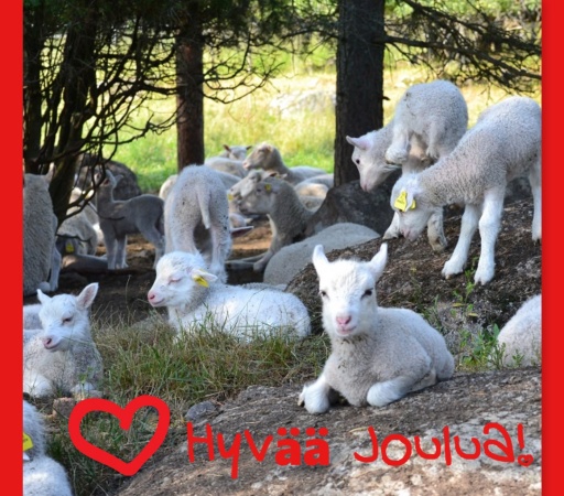 HYVÄÄ JOULUA! HYVÄÄ JOULUA!