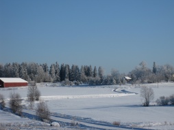 2009_042II.jpg