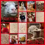 ADVENTTIMARKKINAT 25.-26.11